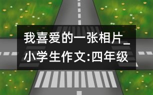 我喜愛的一張相片_小學(xué)生作文:四年級