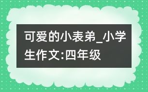 可愛的小表弟_小學(xué)生作文:四年級(jí)