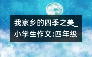 我家鄉(xiāng)的四季之美_小學生作文:四年級