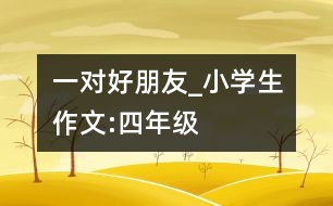 一對(duì)好朋友_小學(xué)生作文:四年級(jí)