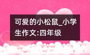 可愛的小松鼠_小學(xué)生作文:四年級