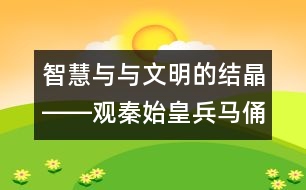 智慧與與文明的結(jié)晶――觀秦始皇兵馬俑后感_小學(xué)生作文:四年級(jí)