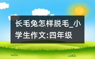 長毛兔怎樣脫毛_小學(xué)生作文:四年級(jí)