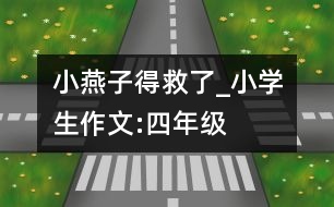 小燕子得救了_小學(xué)生作文:四年級