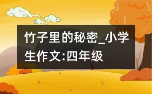 竹子里的秘密_小學(xué)生作文:四年級