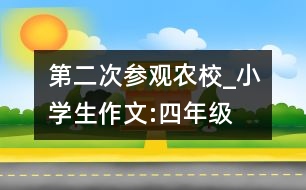 第二次參觀農(nóng)校_小學(xué)生作文:四年級(jí)