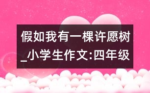 假如我有一棵許愿樹_小學(xué)生作文:四年級