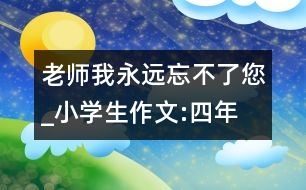 老師,我永遠忘不了您_小學(xué)生作文:四年級