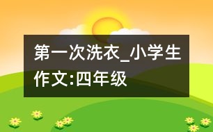 第一次洗衣_小學(xué)生作文:四年級(jí)