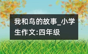 我和鳥的故事_小學(xué)生作文:四年級