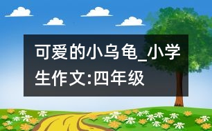 可愛的小烏龜_小學生作文:四年級