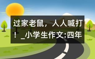 過“家”老鼠，人人喊打！_小學(xué)生作文:四年級