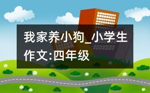 我家養(yǎng)小狗_小學生作文:四年級