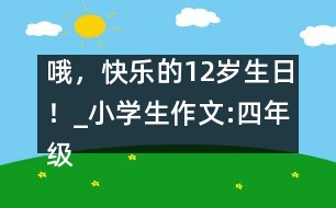 哦，快樂的12歲生日！_小學生作文:四年級