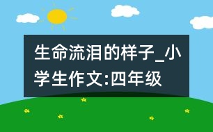 生命流淚的樣子_小學(xué)生作文:四年級(jí)