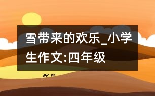 雪帶來的歡樂_小學(xué)生作文:四年級