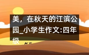 美，在秋天的江濱公園_小學(xué)生作文:四年級