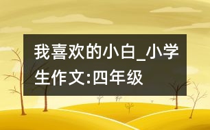 我喜歡的“小白”_小學(xué)生作文:四年級