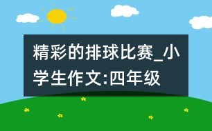 精彩的排球比賽_小學(xué)生作文:四年級