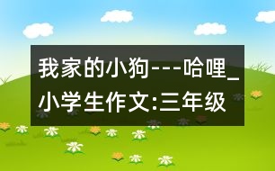 我家的小狗---哈哩_小學(xué)生作文:三年級