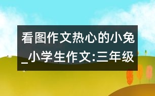 看圖作文熱心的小兔_小學(xué)生作文:三年級(jí)