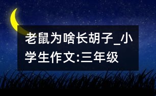 老鼠為啥長胡子_小學生作文:三年級