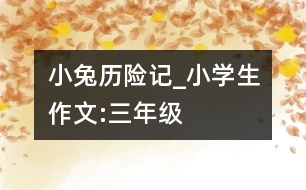 小兔歷險記_小學生作文:三年級