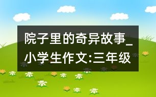 院子里的奇異故事_小學(xué)生作文:三年級(jí)