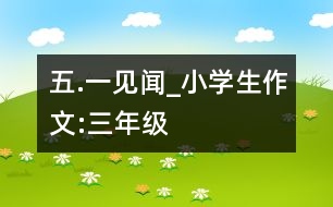 “五.一”見聞_小學(xué)生作文:三年級(jí)