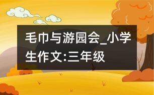 毛巾與游園會_小學(xué)生作文:三年級