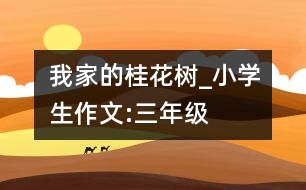 我家的桂花樹_小學(xué)生作文:三年級