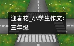 迎春花_小學(xué)生作文:三年級(jí)