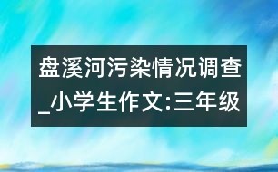 盤溪河污染情況調(diào)查_小學生作文:三年級