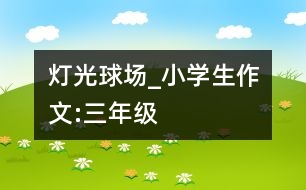 燈光球場_小學(xué)生作文:三年級(jí)