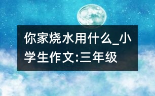 你家燒水用什么_小學(xué)生作文:三年級(jí)