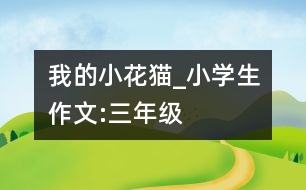 我的“小花貓”_小學生作文:三年級