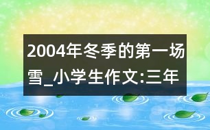 2004年冬季的第一場(chǎng)雪_小學(xué)生作文:三年級(jí)