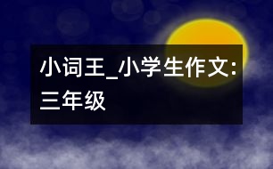 小詞王_小學(xué)生作文:三年級