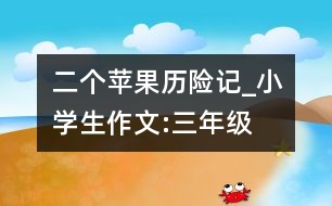 二個(gè)蘋果歷險(xiǎn)記_小學(xué)生作文:三年級(jí)