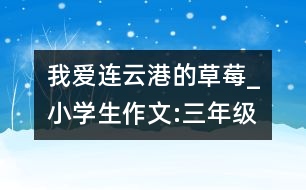 我愛連云港的草莓_小學生作文:三年級