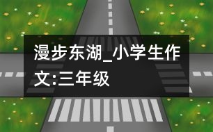 漫步東湖_小學(xué)生作文:三年級