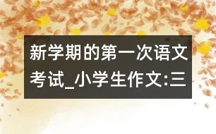 新學(xué)期的第一次語(yǔ)文考試_小學(xué)生作文:三年級(jí)