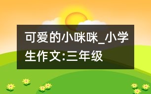 可愛的小咪咪_小學生作文:三年級