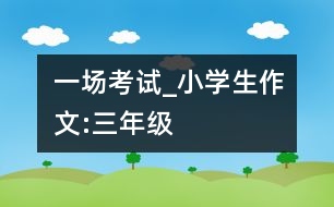 一場(chǎng)考試_小學(xué)生作文:三年級(jí)