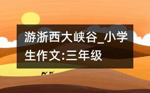 游浙西大峽谷_小學(xué)生作文:三年級