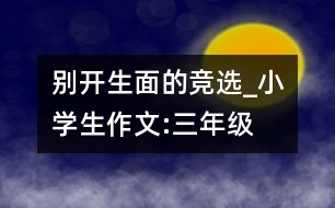 別開生面的競(jìng)選_小學(xué)生作文:三年級(jí)