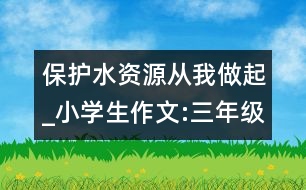 保護(hù)水資源從我做起_小學(xué)生作文:三年級