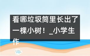 看哪垃圾筒里長出了一棵小樹！_小學(xué)生作文:三年級