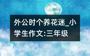 外公時(shí)個(gè)養(yǎng)花迷_小學(xué)生作文:三年級(jí)