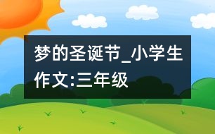 夢的圣誕節(jié)_小學(xué)生作文:三年級(jí)